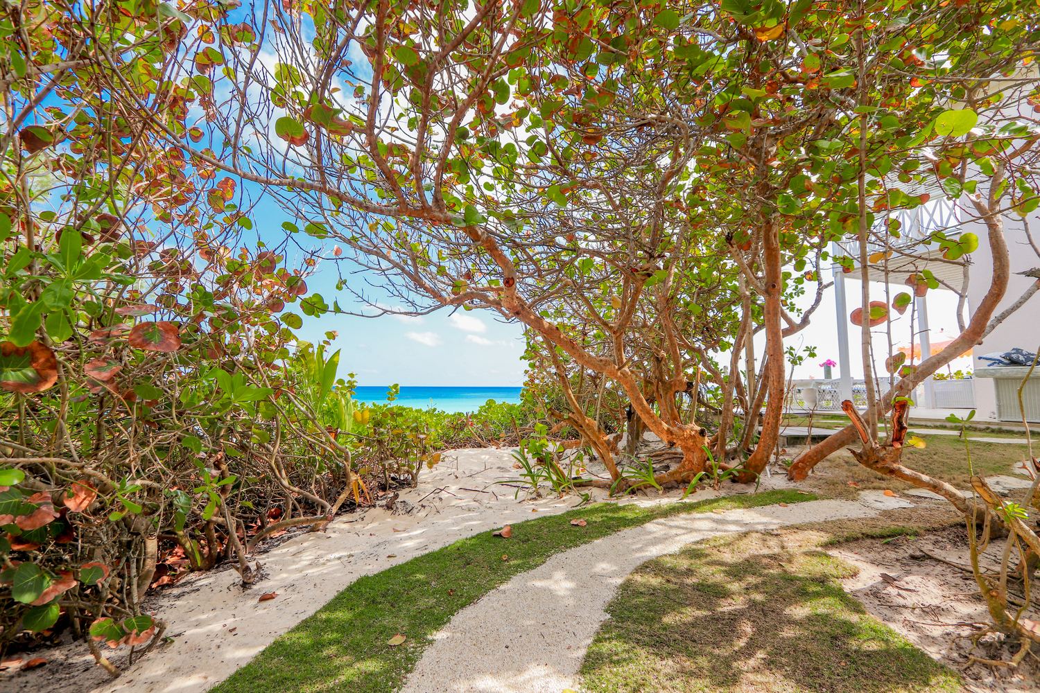 Aerial — pool, cottage & the beach beyond — Sea Siren, Harbour Island